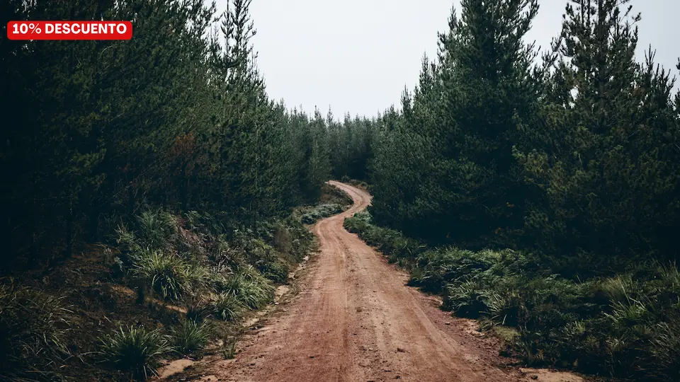 9 días camino de santiago